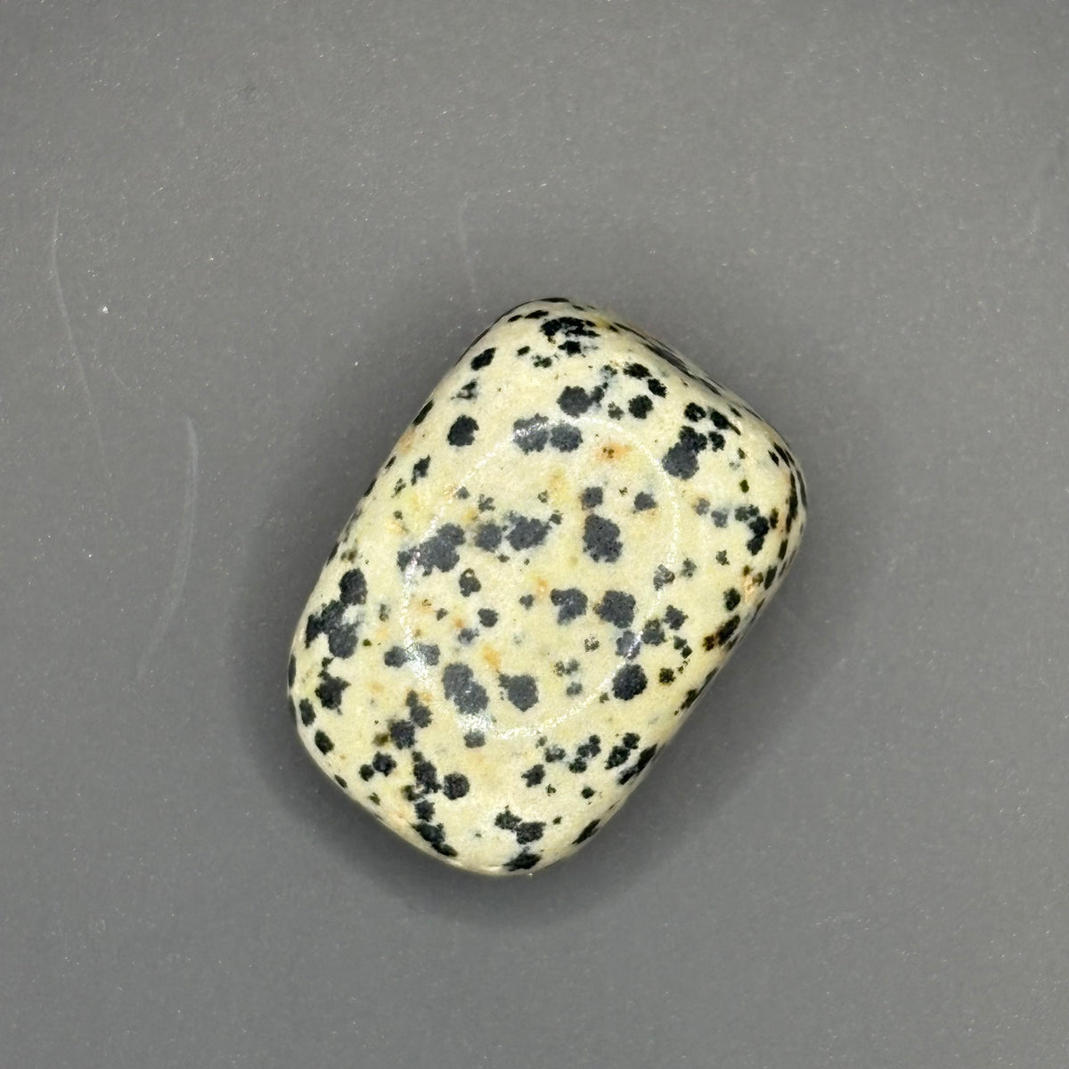 Jaspe Dalmatien "A" Roulée